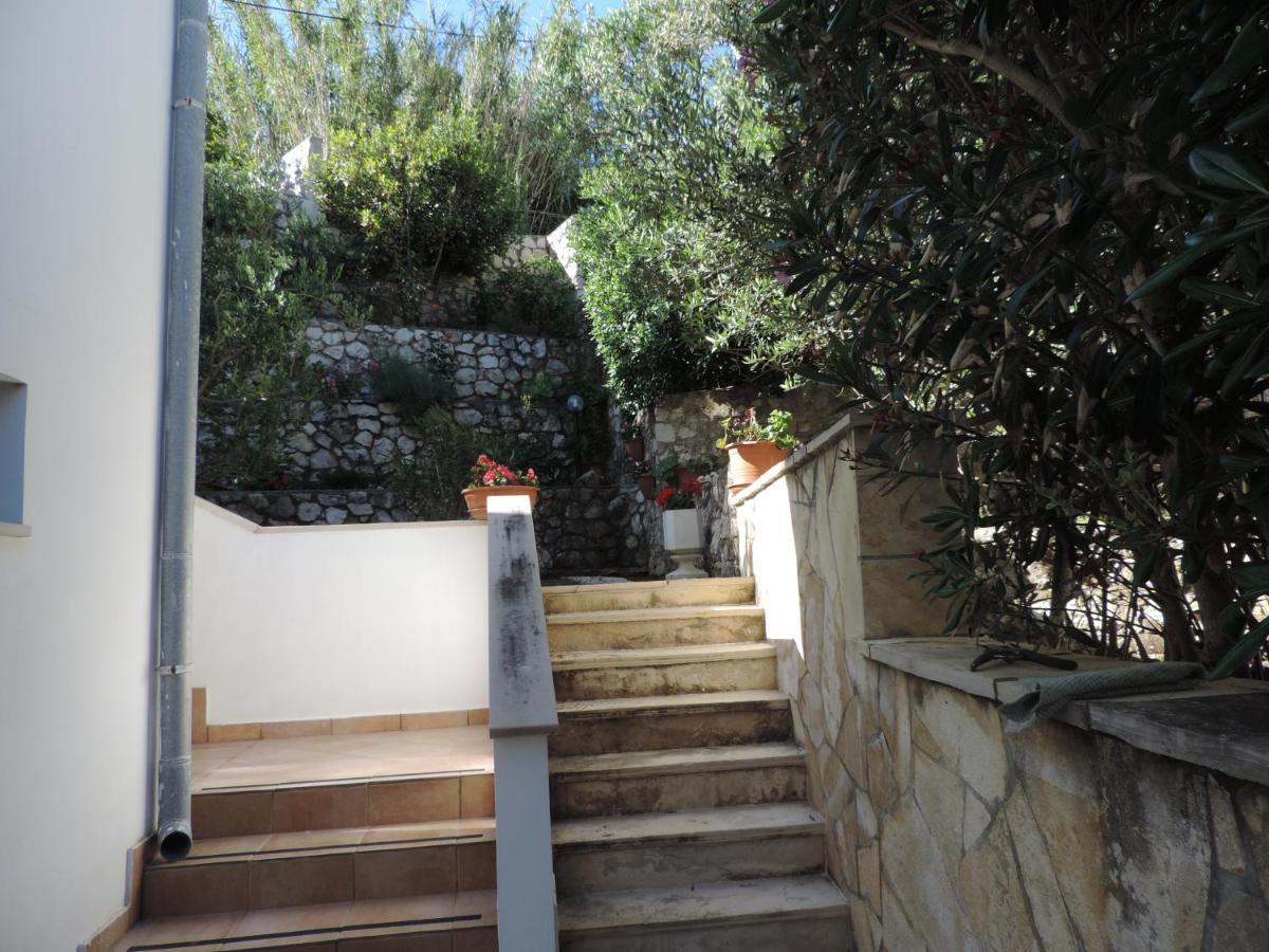 Apartmani Lavanda Pag Town Extérieur photo